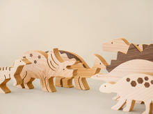 Load image into Gallery viewer, DinoFriends Bundle