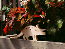 Load image into Gallery viewer, DinoFriends Bundle